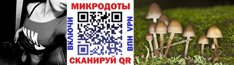 Псилоцибиновые грибы Psilocybine cubensis Арамиль